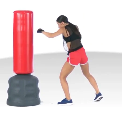 FIT BOXE
