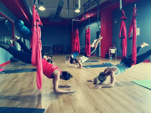 BODY - FLYING