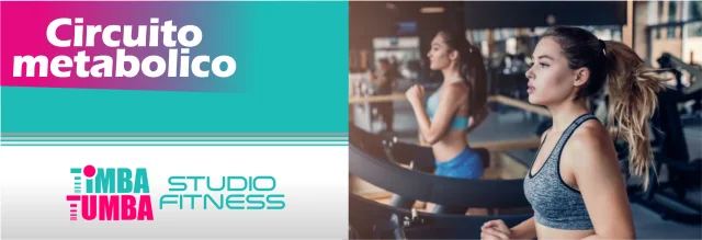 CIRCUITO METABOLICO